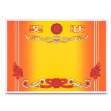 獎(jiǎng)狀 遞樂(lè) A3