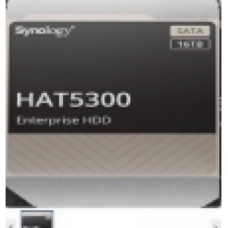 SYNOLOGY	HAT5300-16T  硬盤