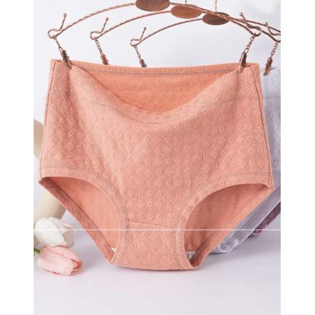 貓人女士內(nèi)褲H組：膚色+紫色+淺粉+淺藍  3XL (建議135-155斤)