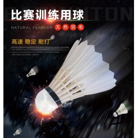 紅雙喜DHS比賽羽毛球76/77速耐打穩(wěn)定飛行12只裝EG32