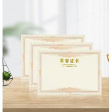 得印(befon)榮譽(yù)證書內(nèi)芯內(nèi)頁(yè) 結(jié)業(yè)證書獎(jiǎng)狀內(nèi)芯 學(xué)校企業(yè)褒獎(jiǎng)證書紙 A4紙張內(nèi)頁(yè) 文具 12張 2503