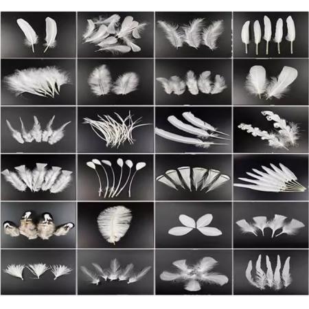meyao   節(jié)慶飾品   羽毛  18款套裝