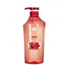 洗發(fā)水	蜂花750ml
