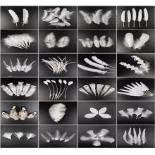 meyao   節(jié)慶飾品   羽毛  18款套裝