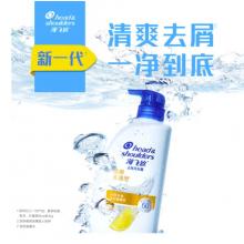 海飛絲洗發(fā)水（750g）