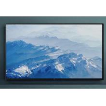 TCL   65寸  電視  65G60E