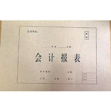 會(huì)計(jì)報(bào)表封面	西瑪	A3