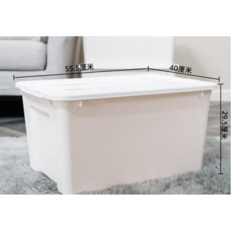 整理箱	禧天龍 50L