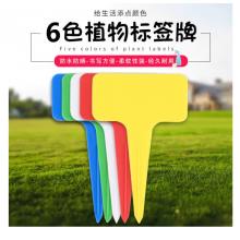 插地牌	大號(hào)隨機(jī)混色100個(gè)