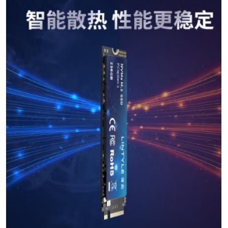 固態(tài)硬盤	凌態(tài)256G