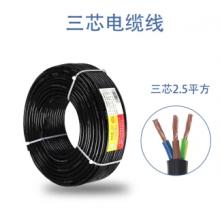 起帆 電源線	RVV3*2.5