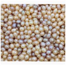 珍珠散珠	白色一兩50克0.9孔