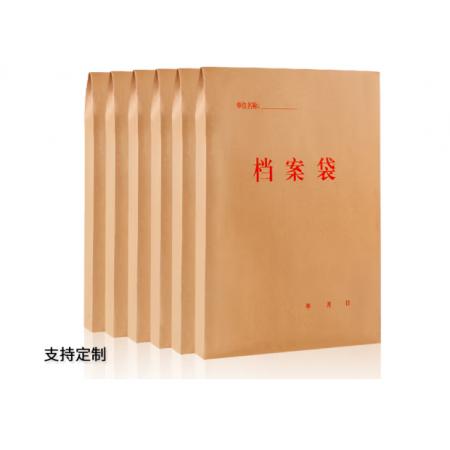 文件袋 晨信	A3的檔案袋320_440mm