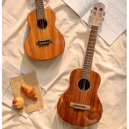 彩虹人（aNueNue）ukulele尤克里里初學(xué)者烏克麗麗小吉他 23英寸B2桃花芯木