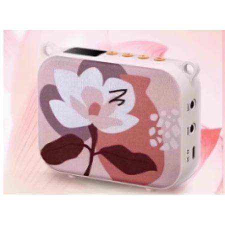 擴音器E30W柔月白無線版（內(nèi)置無線）+三合一有線麥克風