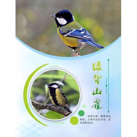 海報訂制	60*90cm