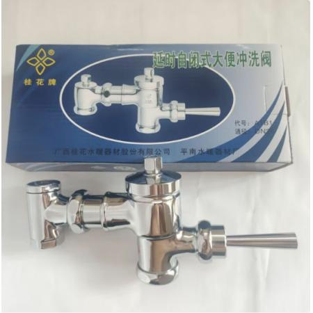 桂花 DN20 延時閥 