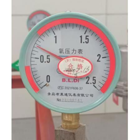 氧氣壓力表布萊迪2.5MP YO-150