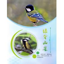 海報訂制	60*90cm