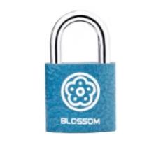 梅花（BLOSSOM）抽屜鎖掛鎖工具箱室內(nèi)小鎖宿舍柜子門鎖電表箱鎖BC2925藍25MM