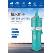 水泵 上海人民 多級潛水泵220V  50QD 2.2KW 48m 10m3 220V