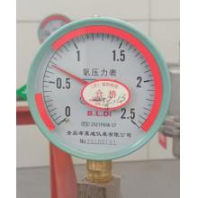 氧氣壓力表布萊迪2.5MP YO-150