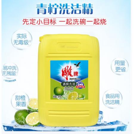 雕牌 大桶壓泵洗潔精	20kg